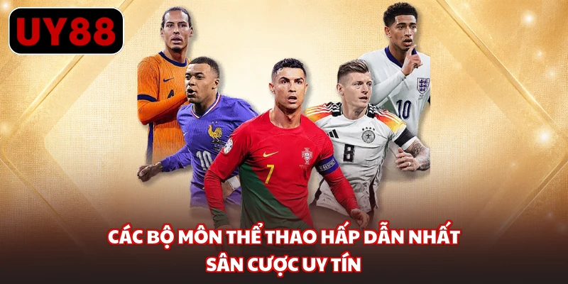 Các bộ môn thể thao hấp dẫn nhất sân cược uy tín