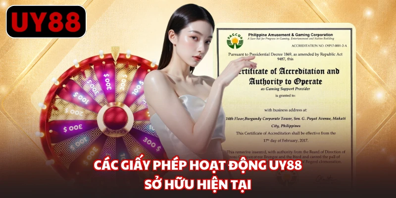 Các giấy phép hoạt động UY88 sở hữu hiện tại