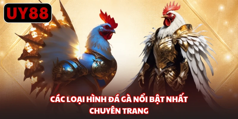 Các loại hình đá gà nổi bật nhất chuyên trang 