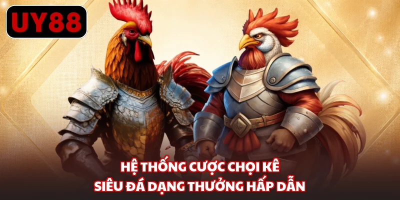 Hệ thống cược chọi kê siêu đá dạng thưởng hấp dẫn