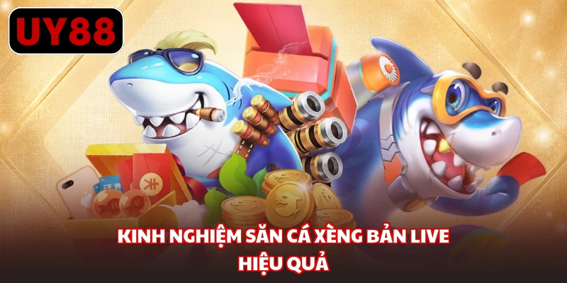 Kinh nghiệm săn cá xèng bản live hiệu quả