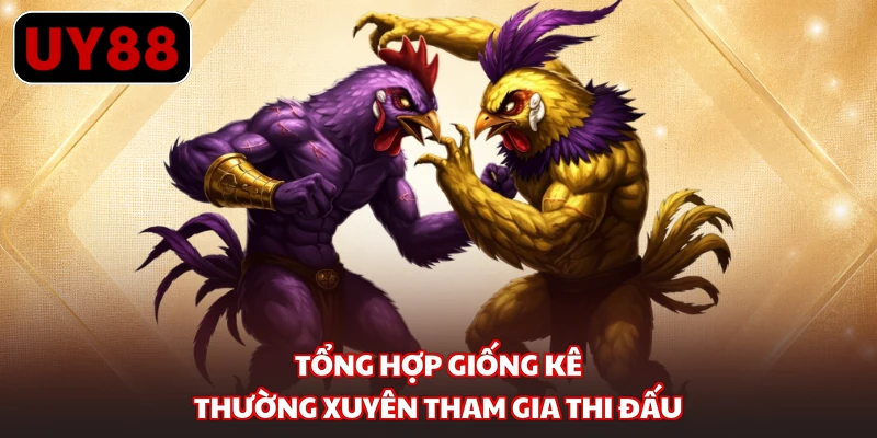Tổng hợp giống kê thường xuyên tham gia thi đấu 